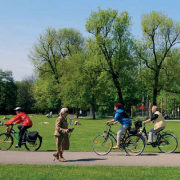 Fahrradfahrer im Park