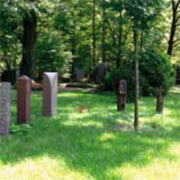 Der Urnenhain auf dem Südfriedhof