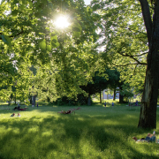 Entspannte Atmosphäre im Grünen: Der Cramer-Klett-Park hat Erholungssuchenden viel zu bieten.