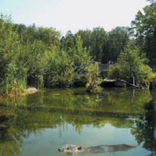 Aqua Park © Christine Dierenbach