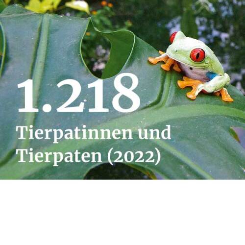Nürnberg Heute 113: 1.218 Tierpatinnen und Tierpaten im Tiergarten © Helmut Mägdefrau/Stadtgrafik / Tiergarten Nürnberg