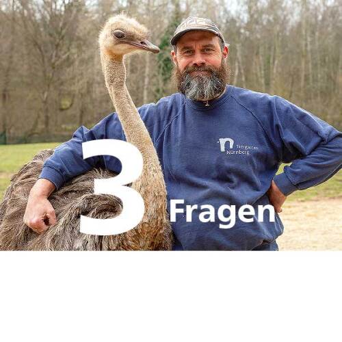 Drei Fragen an Tierpfleger Oliver Pürker © Christine Dierenbach / Stadt Nürnberg