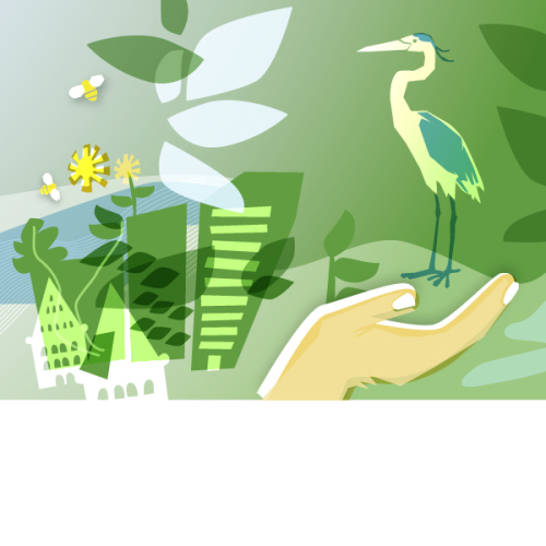 Kühle Orte © Elisabeth Dötzer / Stadt Nürnberg