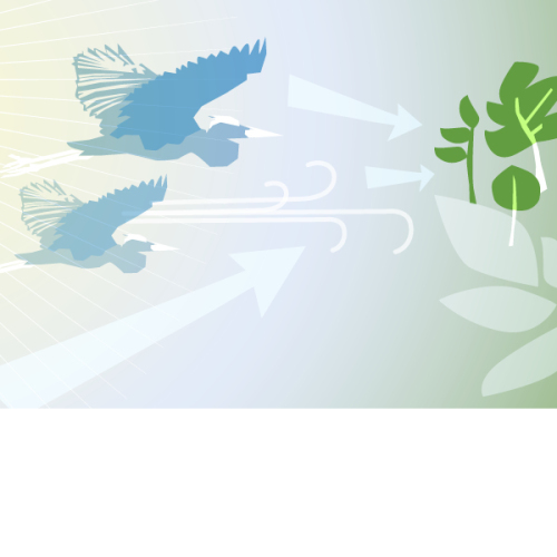 Kaltluftleitbahnen helfen Städten, im Sommer kühler zu bleiben. © Elisabeth Dötzer / Stadt Nürnberg