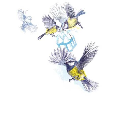 © Illustration: Christina Mühlhöfer / Stadt Nürnberg Nürnberg Heute Ausgabe 116: Ganz schön clever © Illustration: Christina Mühlhöfer / Stadt Nürnberg