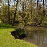 Das Areal zwischen Stadtgrenze und Wöhrder See soll zum Naturschutzgebiet werden. 