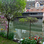 Beim Trödelmarkt haben einige Wohnhäuser sogar kleine Gärten am Flussufer.