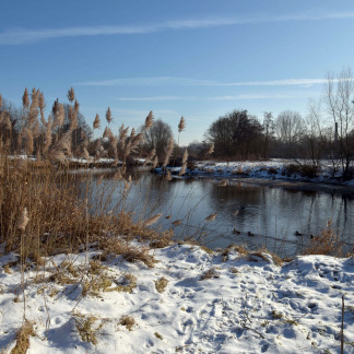 ( Bild: Christine Dierenbach / Stadt Nürnberg ) Der Wiesengrund, der sich bis nach Fürth erstreckt, ist zu jeder Jahreszeit beliebt.