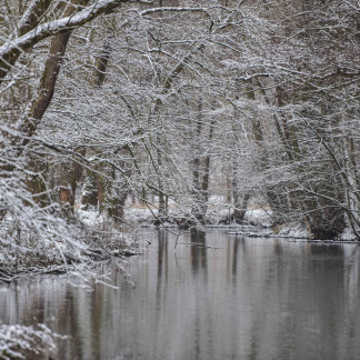 ( Bild: Christine Dierenbach / Stadt Nürnberg ) Im Winter geht es im Pegnitztal Ost meist etwas ruhiger zu.