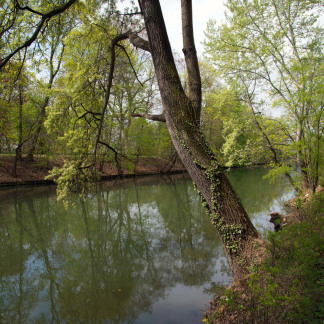 ( Bild: Christine Dierenbach / Stadt Nürnberg ) Westlich der Altstadt fließt die Pegnitz durch die Grünanlagen Hallerwiese und Kontumazgarten.