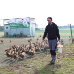 In mobilen Hühnerställen und -gehegen haben die Tiere genug Platz zum Picken und Scharren.