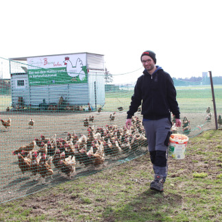 ( Bild: Mile Cindric / Stadt Nürnberg ) In mobilen Hühnerställen und -gehegen haben die Tiere genug Platz zum Picken und Scharren.