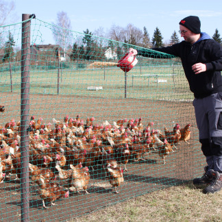 ( Bild: Mile Cindric / Stadt Nürnberg ) Kurze Wege: Die Eier für den Verkauf kommen von den eigenen Hühnern.