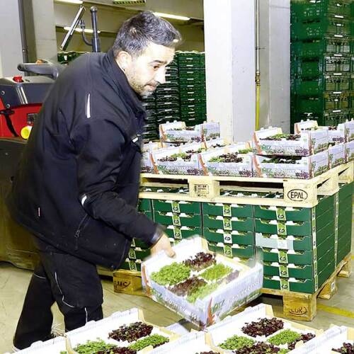 © Mile Cindrić / Stadt Nürnberg Paletten mit Bio-Kresse. © Mile Cindrić / Stadt Nürnberg