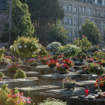 In den Sommermonaten konkurrieren Rosenstöcke und Pelargonien mit den kulturhistorisch bedeutsamen Bronzeepitaphien um die Aufmerksamkeit der Besucher.