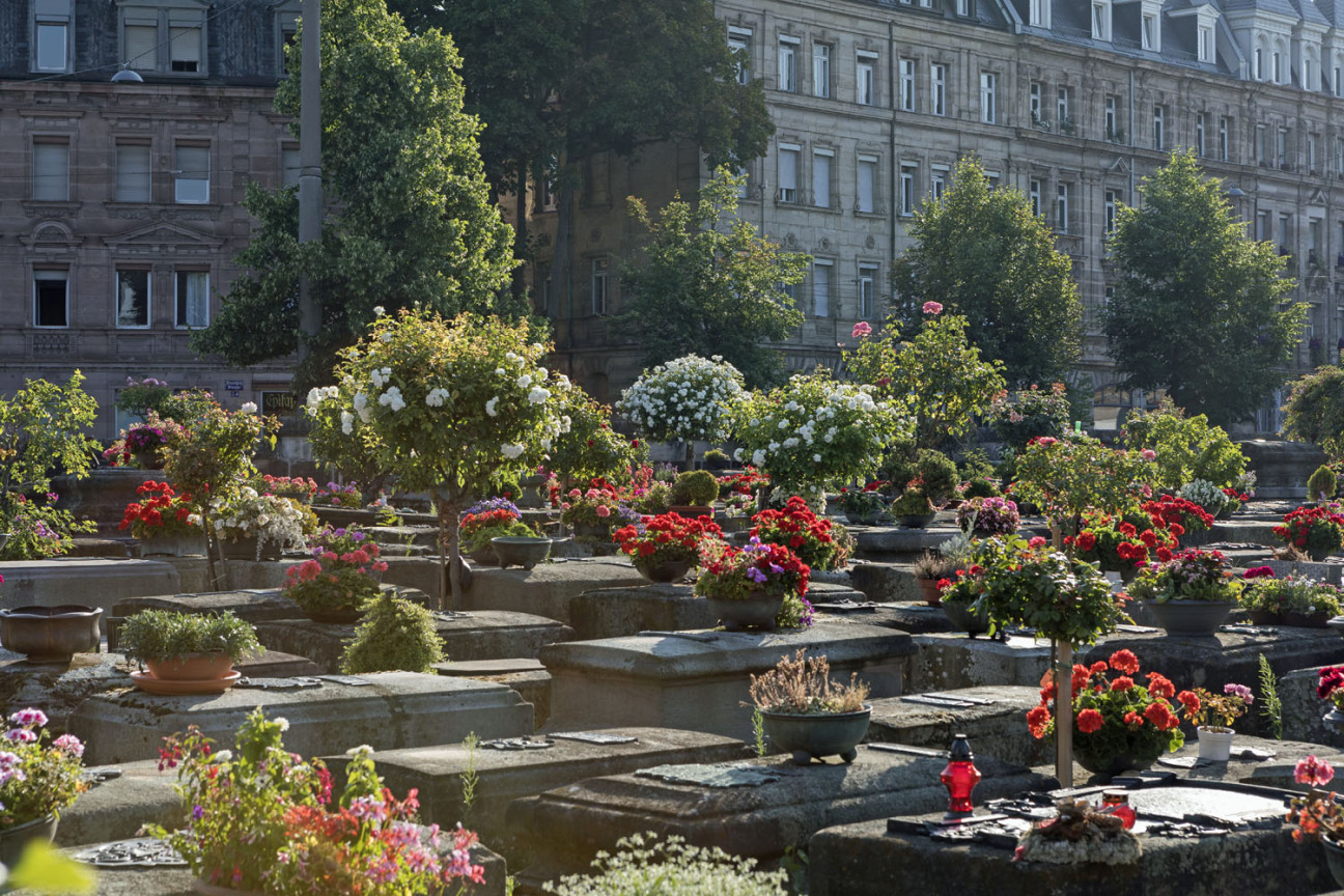 Blick über den Johannisfriedhof., Bild © Ohne Bildnachweis