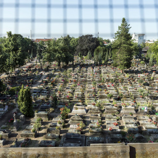 Der Blick durch das Taubenschutzgitter am Glockenturm der Johanniskirche zeigt die Reihen der einheitlich in Ost-West-Richtung liegenden Grabsteine.