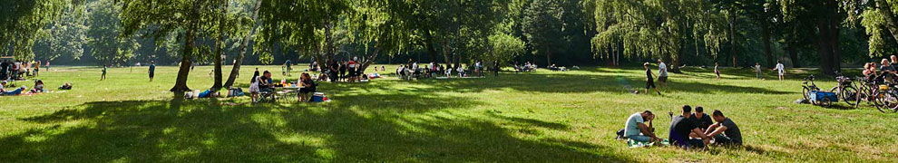 Sommerwiese am Dutzendteich.