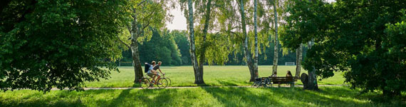 Sommer im Marienbergpark.