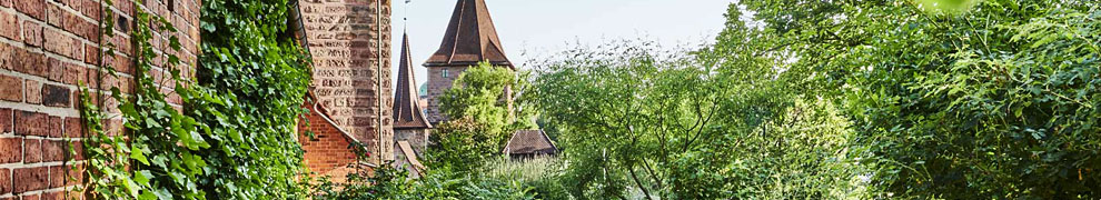 Heilkräutergarten an der Kaiserburg.