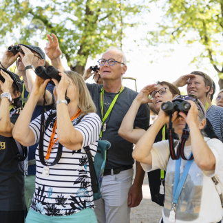Aus der Vogelperspektive: Wohnen auf Simsen, fliegen über Türme 
