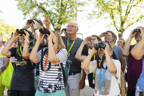 Ornithologische Entdeckungstour mit dem Landesbund für Vogel- und Naturschutz in Bayern e.V.