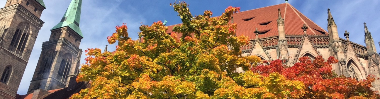 Baumkronen vor dem Hintergrund des Dachs der Sebalduskirche und ihrer beiden Kirchtürme vor einem sonnigen, blauen Himmel, Bild © Amt für Stadtforschung und Statistik für Nürnberg und Fürth