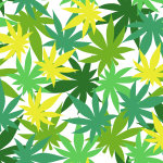 Vector Grafiken von Cannabisblättern in verschiedenen Grüntönen