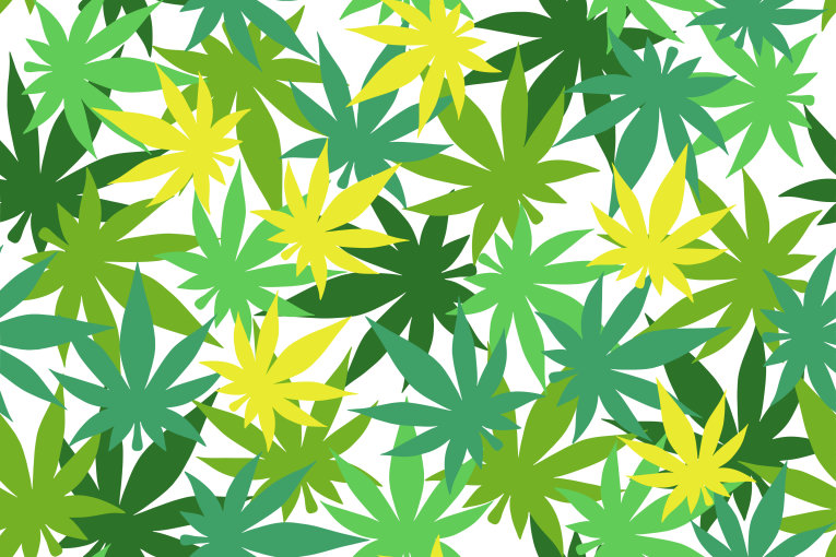Vector Grafiken von Cannabisblättern in verschiedenen Grüntönen