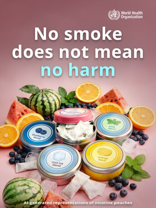 Poster der Weltgesundheitsorganisation. Oben steht der Satz „No smoke does not mean no harm“. In der Mitte liegen mehrere runde Dosen mit Geschmacksangaben wie Blaubeere, Minze, Orange, Wassermelone und Eis. Um die Dosen herum liegen passende Früchte, Minzblätter und Eiswürfel. Unten steht der Hinweis, dass die dargestellten Nikotinbeutel KI‑generiert sind.