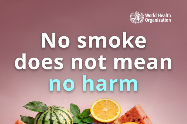 Poster der Weltgesundheitsorganisation. Oben steht der Satz „No smoke does not mean no harm“. In der Mitte liegen mehrere runde Dosen mit Geschmacksangaben wie Blaubeere, Minze, Orange, Wassermelone und Eis. Um die Dosen herum liegen passende Früchte, Minzblätter und Eiswürfel. Unten steht der Hinweis, dass die dargestellten Nikotinbeutel KI‑generiert sind.