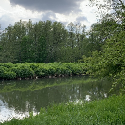 Fluss Pegnitz mit viel Wiese und Bäumen