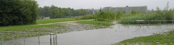 Überschwemmte Grünfläche in Nürnberg