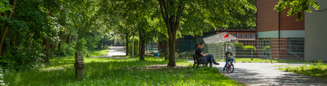 Bild © Chandra Moennsad / Stadt Nürnberg / Umweltamt Blick auf Bäume am Röthenbacher Landgraben, Bild © Chandra Moennsad / Stadt Nürnberg / Umweltamt