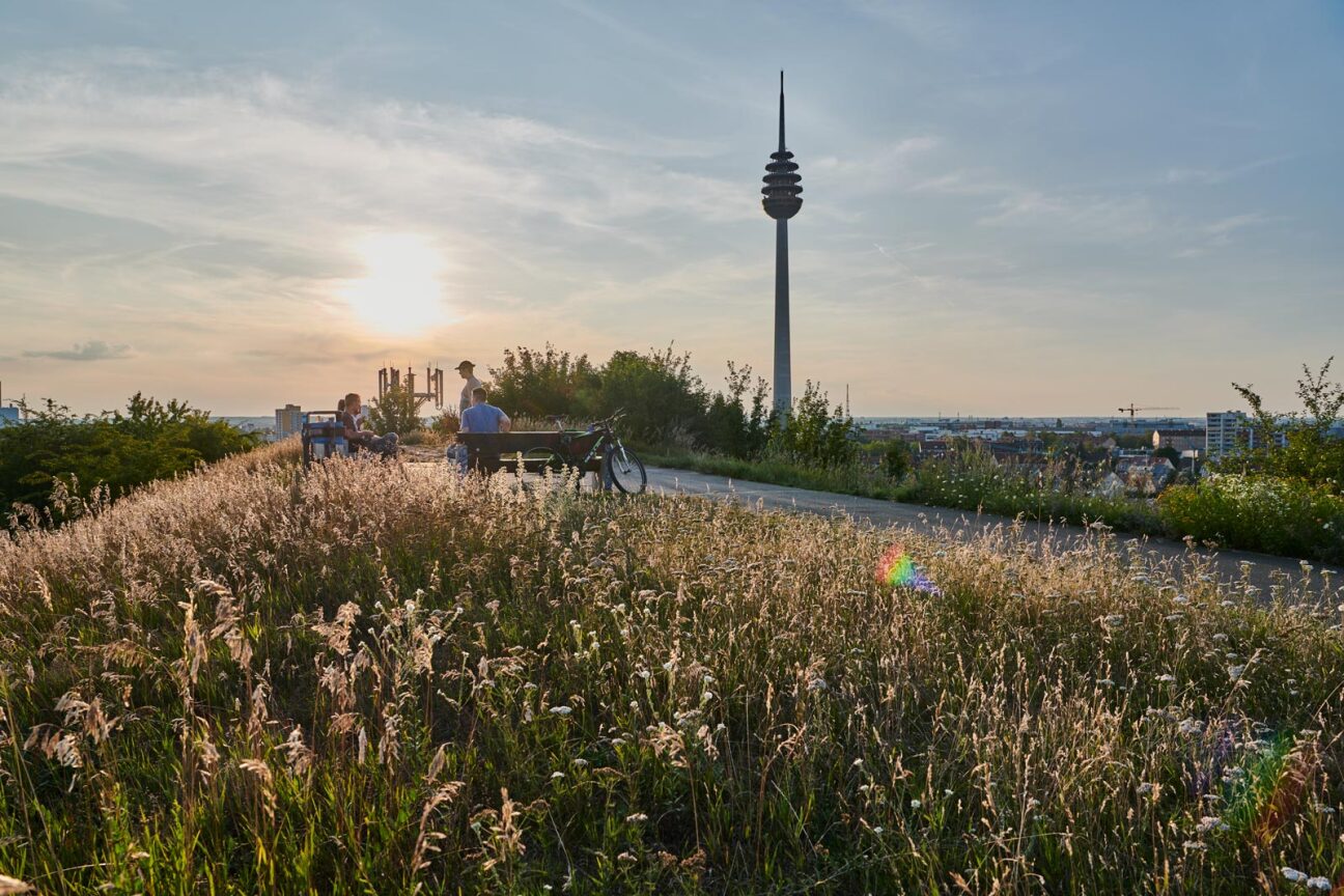 Schweinauer Buck, Bild © Gerhard Illig / Stadt Nürnberg / Umweltamt Blick über den Schweinauer Buck, Bild © Gerhard Illig / Stadt Nürnberg / Umweltamt