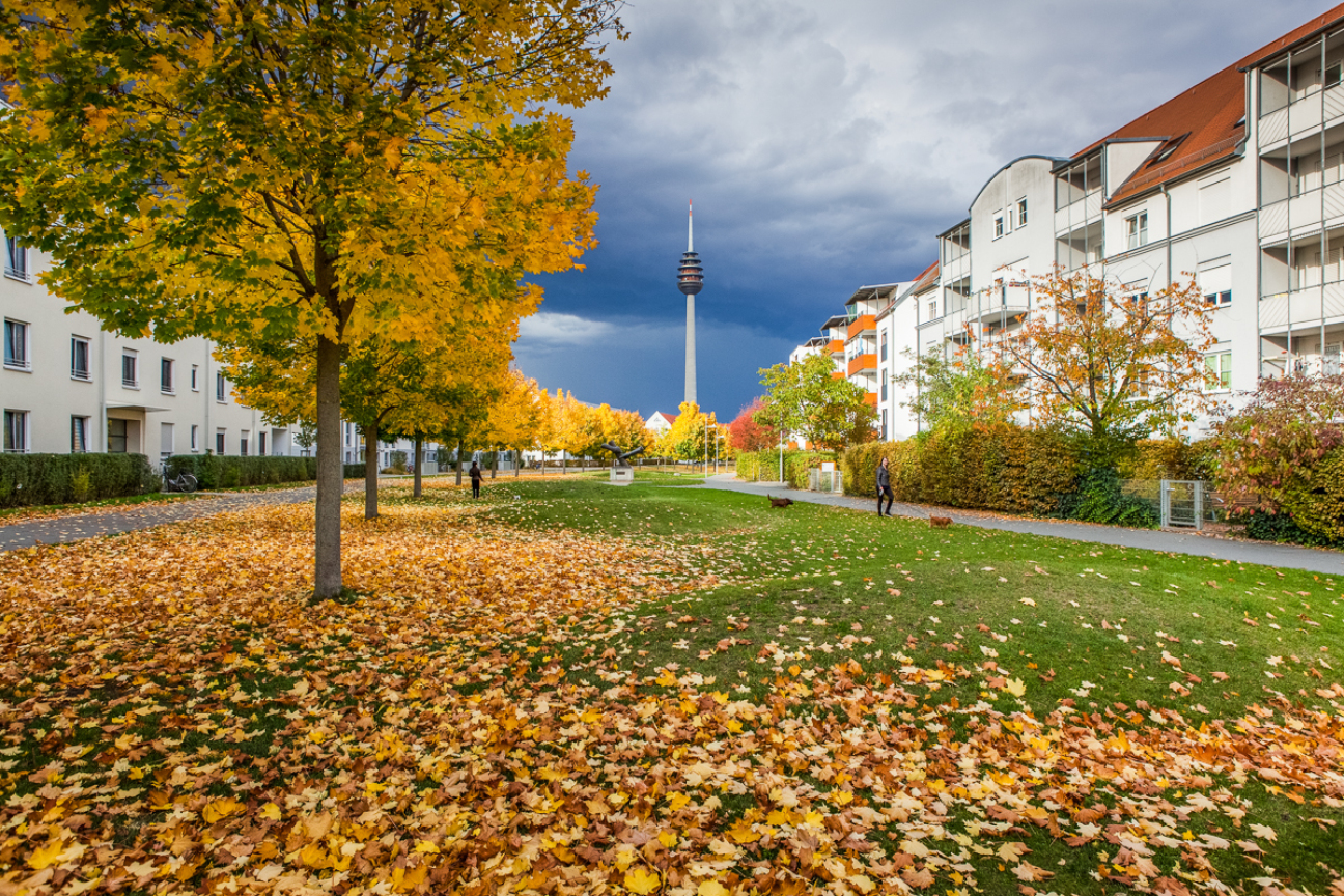 Lindenwiesenweg, Bild © Chandra Moennsad / Stadt Nürnberg / Umweltamt Blick auf Wiese, Bild © Chandra Moennsad / Stadt Nürnberg / Umweltamt