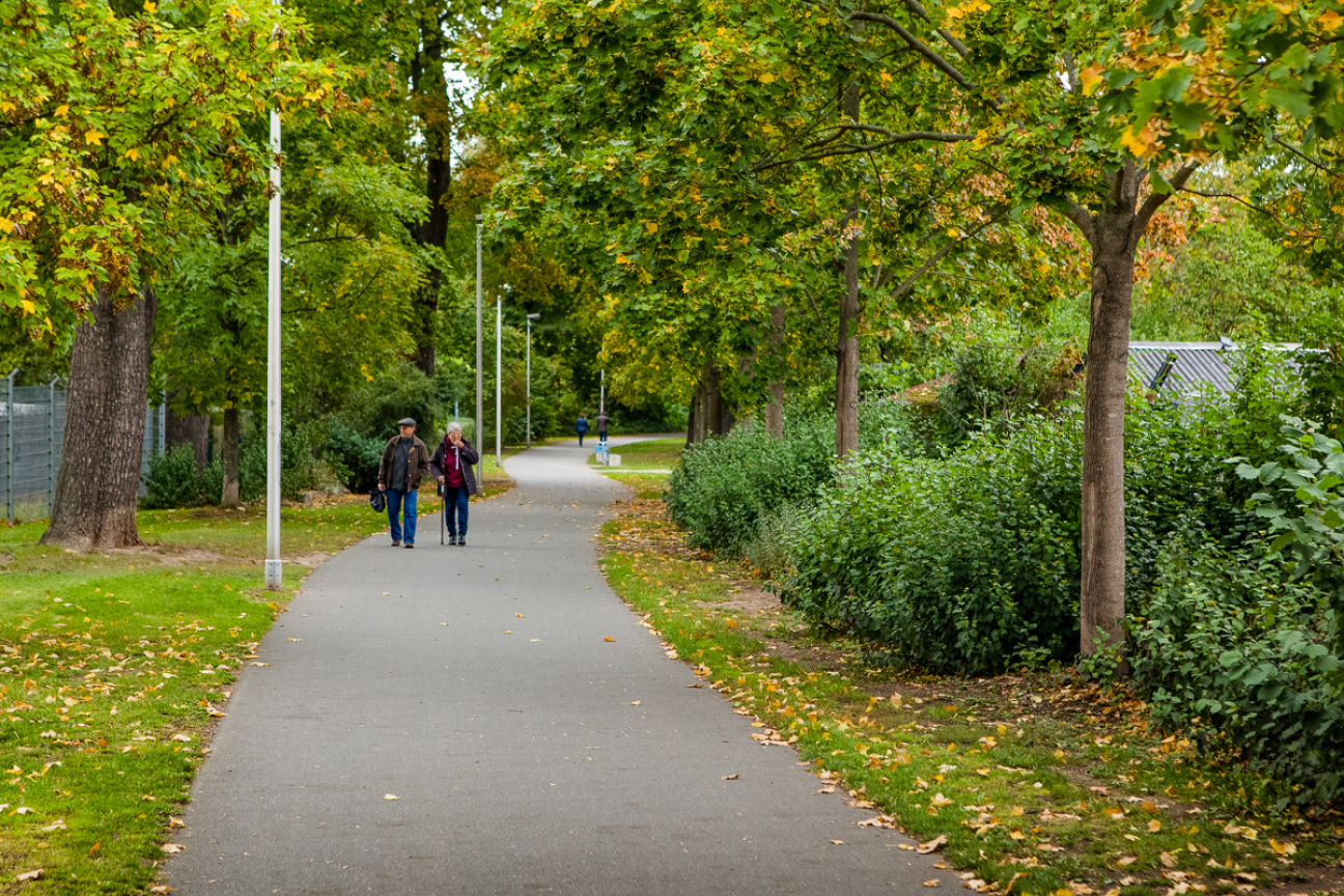 Spaziergänger auf der alten Allee, Bild © Chandra Moennsad / Stadt Nürnberg / Umweltamt Spaziergänger auf der alten Allee, Bild © Chandra Moennsad / Stadt Nürnberg / Umweltamt