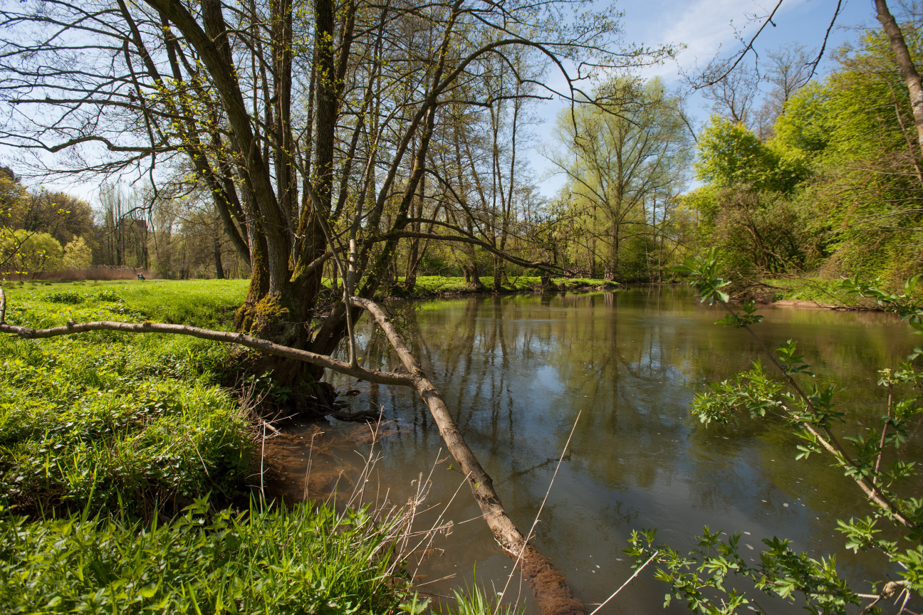 Bild © Stadt Nürnberg/Christine Dierenbach Pegnitztal Ost, Bild © Stadt Nürnberg/Christine Dierenbach