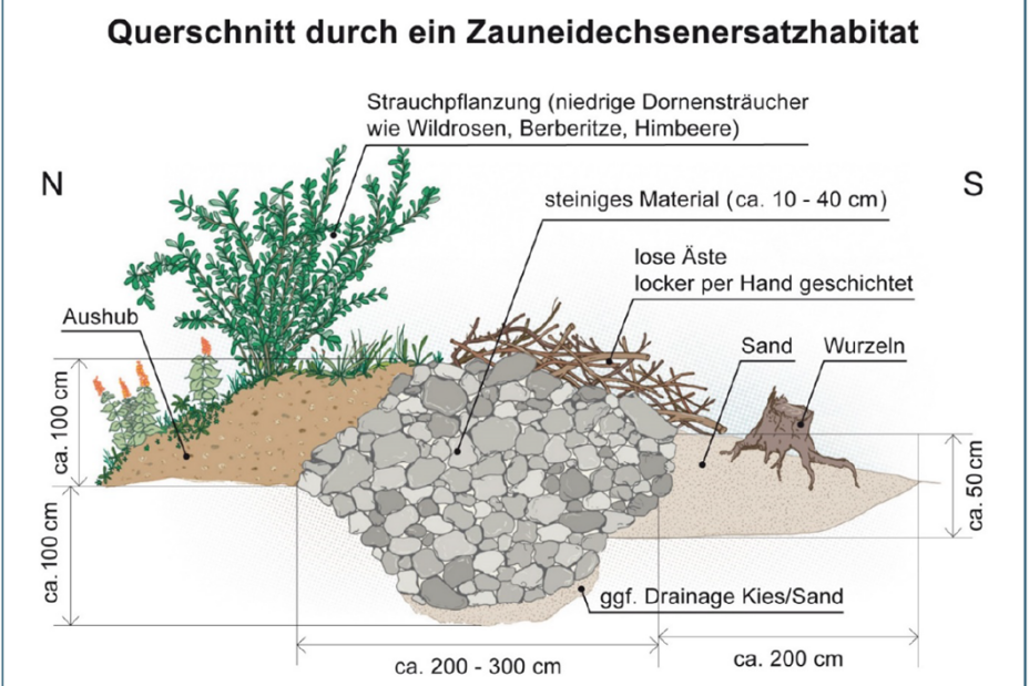 Darstellung eins Querschnitt durch ein Zauneidechsenersatzhabitat, Bild © Bayerisches Landesamt für Umwelt