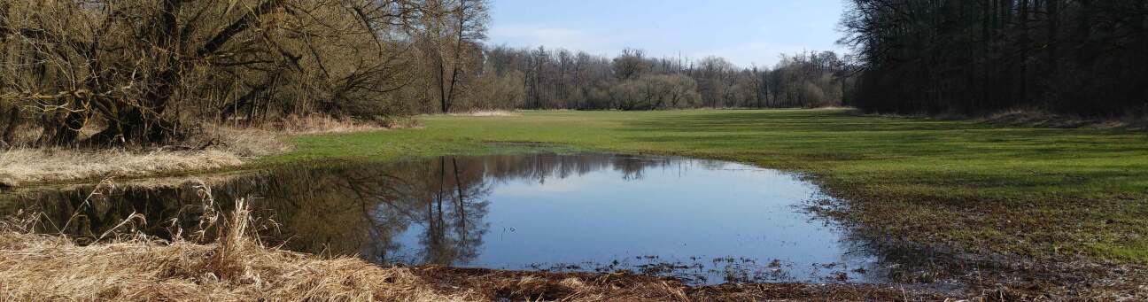 Bild © Nadja Danner Gründlachaue, Bild © Nadja Danner