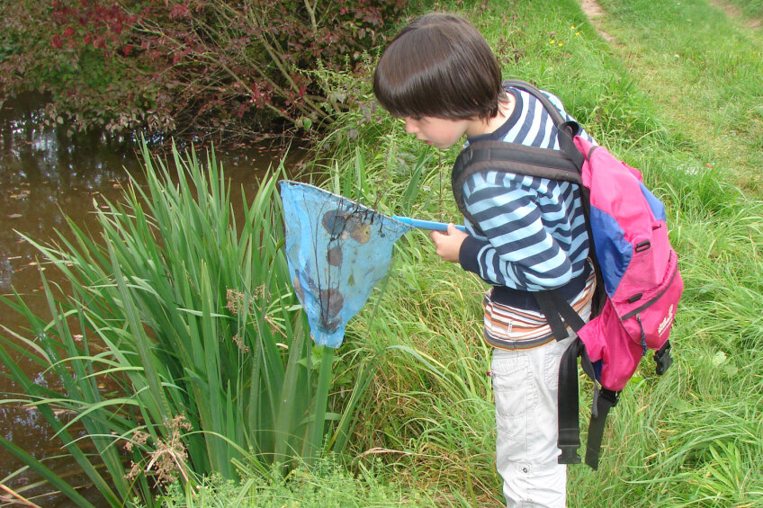 Das Storchenprojekt: Naturerlebnis und Umweltbildung, Bild © Umweltamt - Stadt Nürnberg