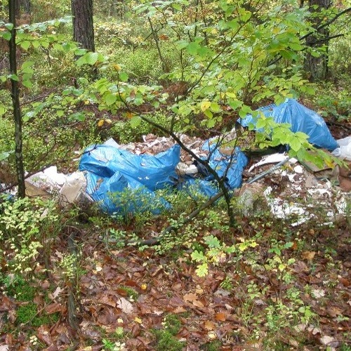 Wilde Abfallablagerung im Wald © Stadt Nürnberg / Umweltamt