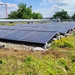 Kombiniertes Grün-/Solardach
