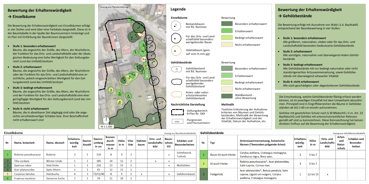 Flyer BBP in der Bauleitplanung Seite 2, Bild © Stadt Nürnberg / Umweltamt