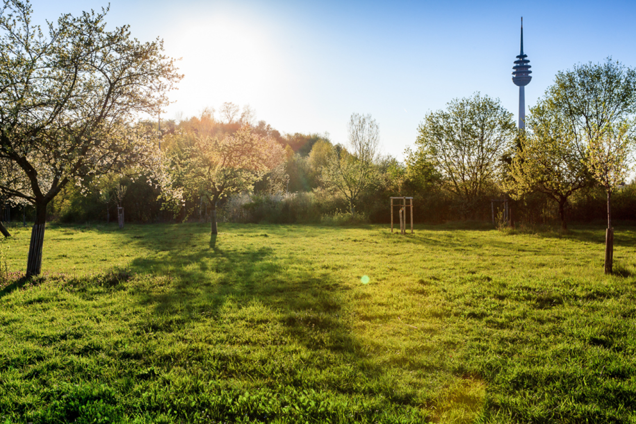 Bild © Chandra Moennsad / Stadt Nürnberg/Umweltamt Streuobstwiese am Schweinauer Buck, Bild © Chandra Moennsad / Stadt Nürnberg/Umweltamt