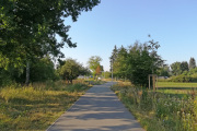 Rad-und Fußweg am Wetzendorfer Landgraben mit Wegebegleitgrün