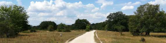 Wegeverbindung im Naturschutzgebiet Hainberg