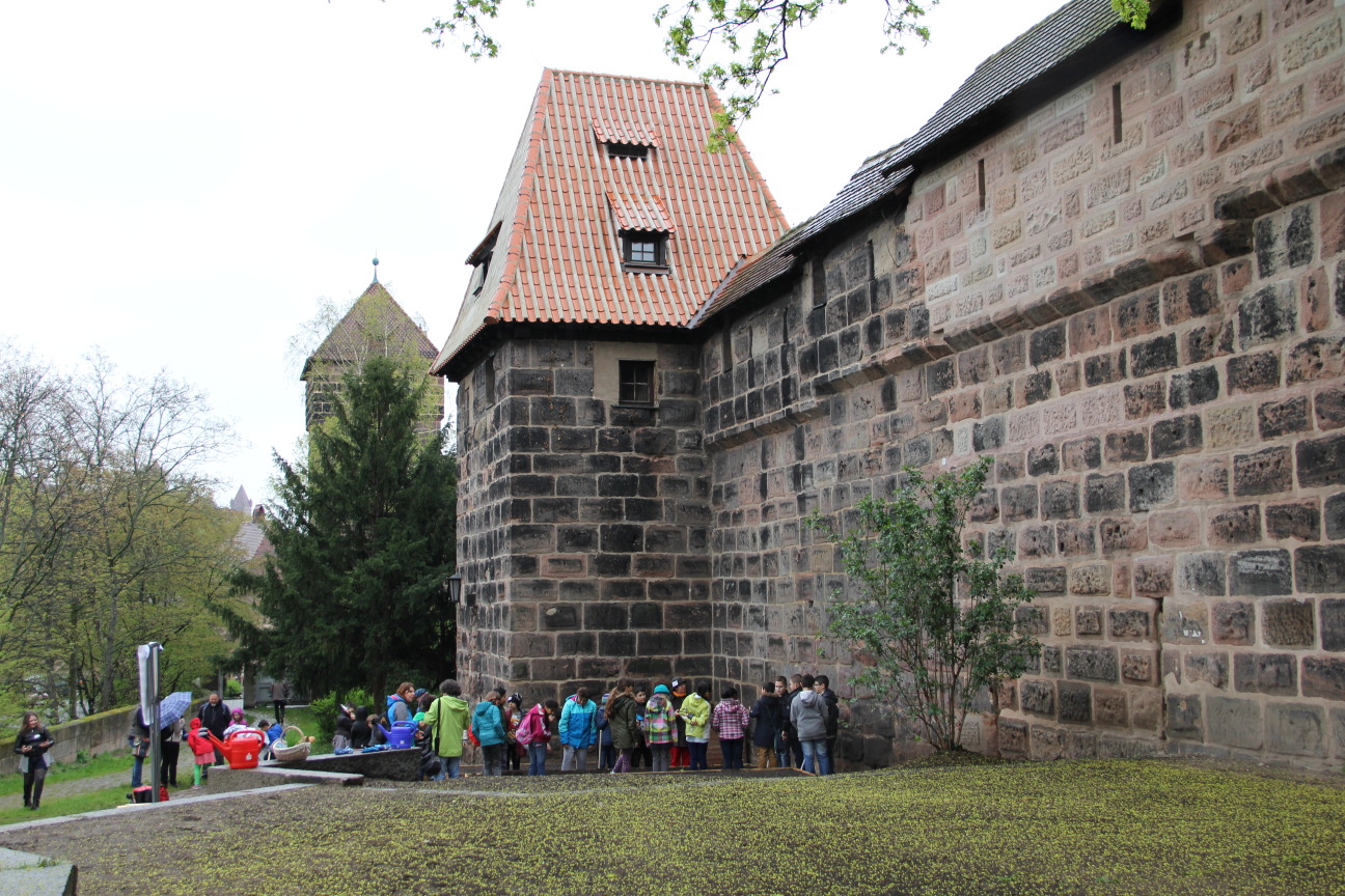 Projekt Biologische Vielfalt auf der Mauer, Bild © Bild: Sparkasse Nürnberg