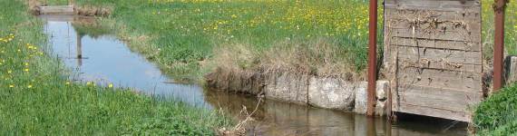 Förderung der Nutzung von Wässerwiesen