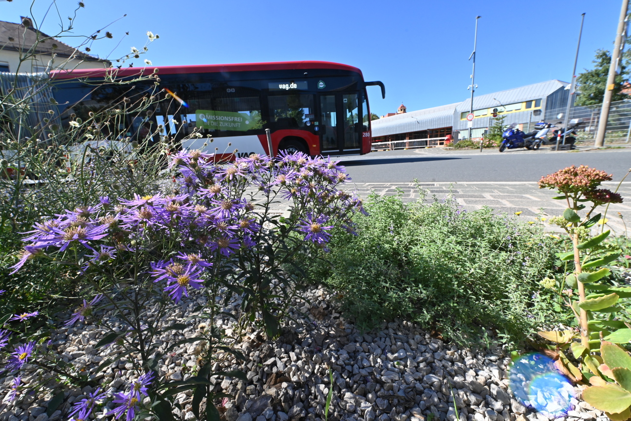 VAG Elektrobus mit Blumenbeet im Vordergrund